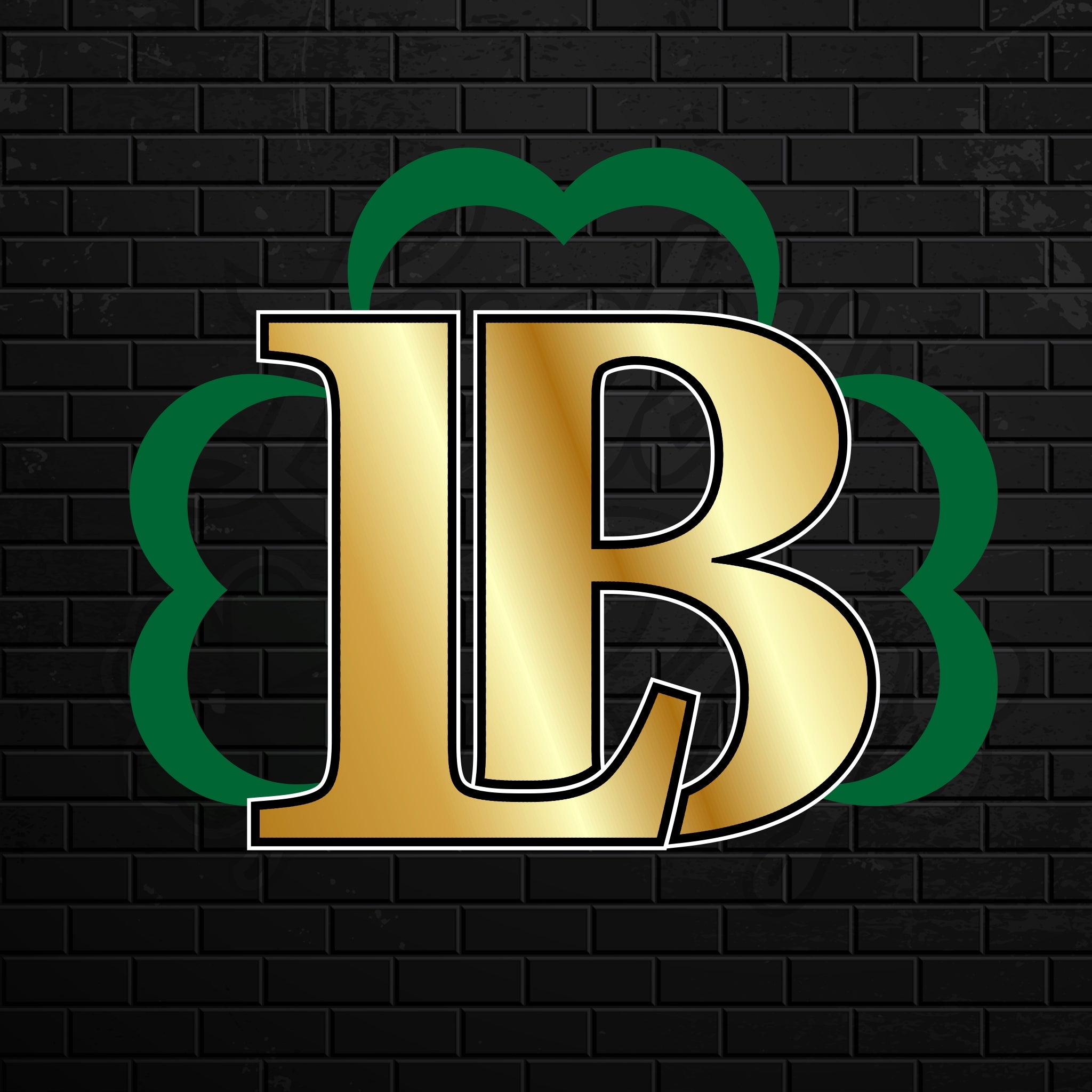 Bestel Lucky ACL Pro Bags nu DIRECT uit Amerika Cornhole Bags Lucky Bags